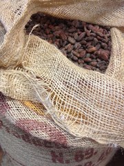 Продаём сырые какао бобы элитного сорта Насиональ(Бразилия)