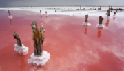 Крымская Морская Розовая Соль
